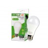 FOCO LED B02W12