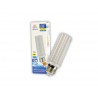 FOCO LED C12W03