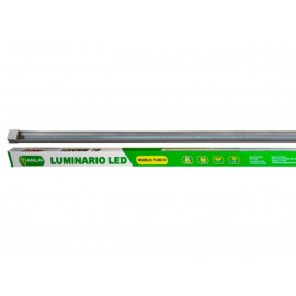 TUBO LED T8W22R