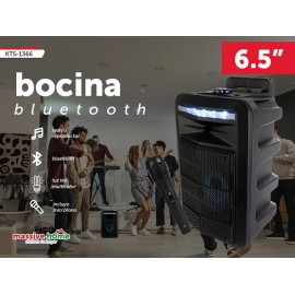 BOCINA KTS-1366