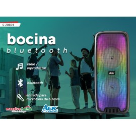 BOCINA S-20604