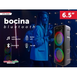 BOCINA KTS-1529