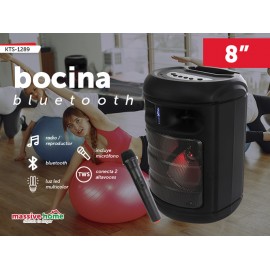BOCINA KTS-1289