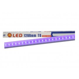 TUBO LED  T8X2C