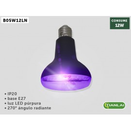 FOCO LED B05W12