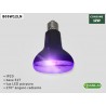 FOCO LED B05W12