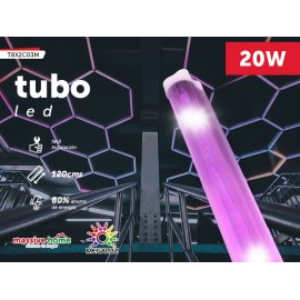 TUBO LED COLOR