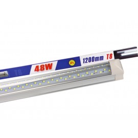REGLETAS T8 T8W