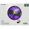 TIRA LED LN12W6