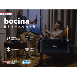 BOCINA S-10206