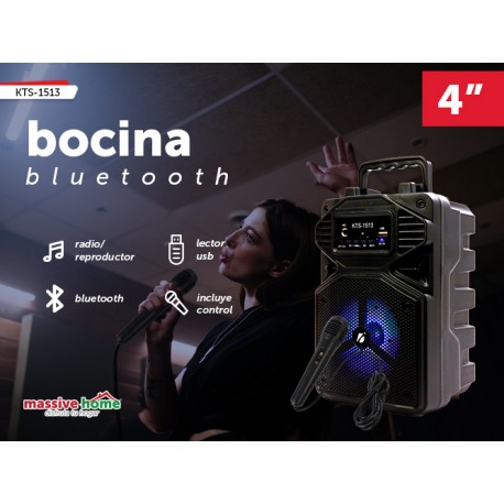 BOCINA KTS-1513