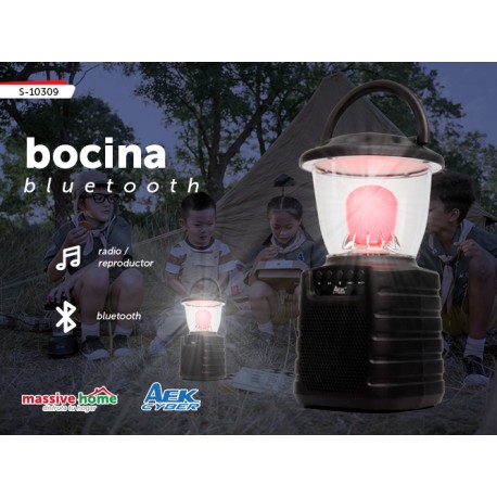 BOCINA. S-10309