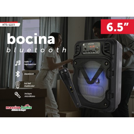 BOCINA KTS-1516