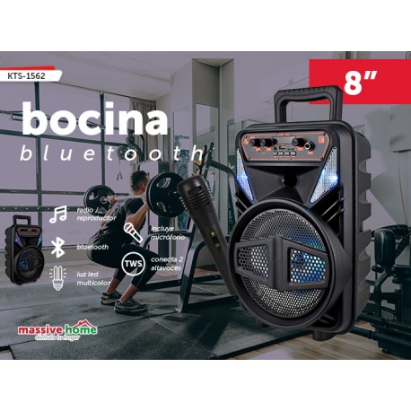 BOCINA KTS-1562