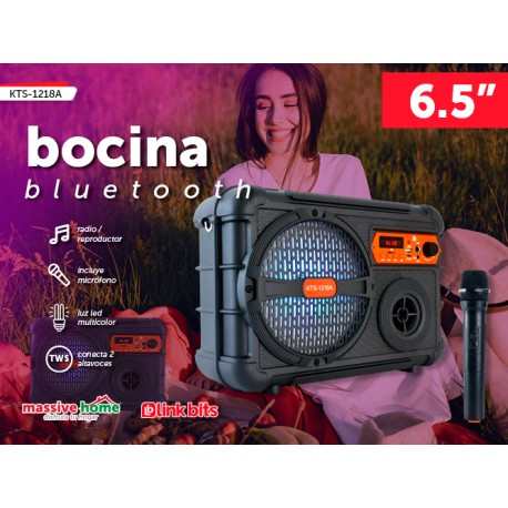BOCINA KTS-1218